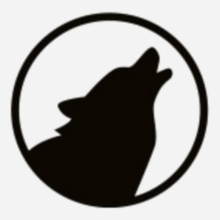 Трансивер "Волк" (TRX Wolf)