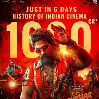 Pushpa 2 The Rule (2024) Movie