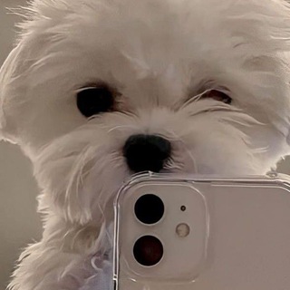 Парные авы и статусы