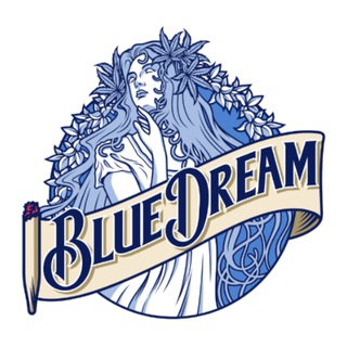 BLUE DREAM SLIV | Дампы ВК🦋