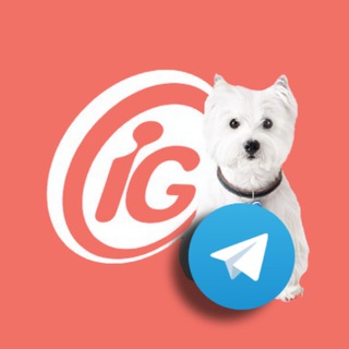 iG Canal do Pet