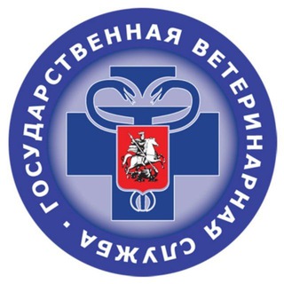 Моя Ветклиника