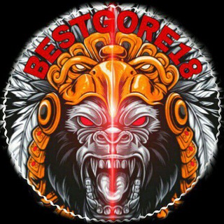 BESTGORE.com