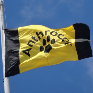 Anthrocon Announcements ✔