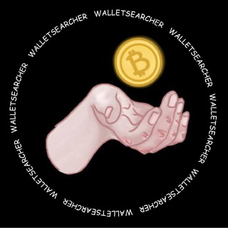 WalletSearcher - Soft 🔍