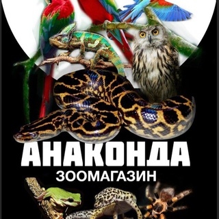 Зоомагазин "Анаконда"