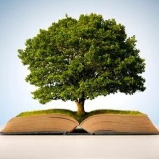 Tree of Knowledge