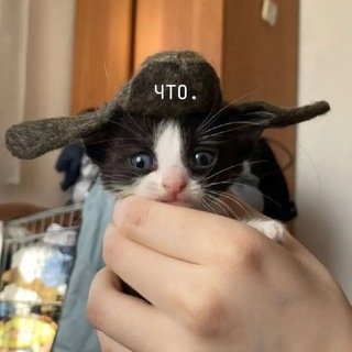 ✨ творчество от альтушек ( и не только ) ✨