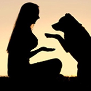 索女Dog Come - sokneoi.com