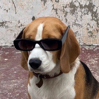 TG🚦中学生👨‍🎓（新开）