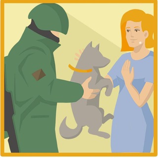 Помощь животным мобилизованных