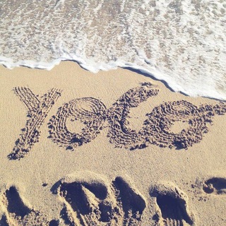 YOLO