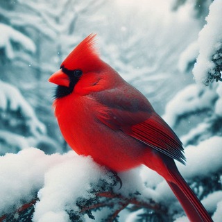 FPC • Плагины