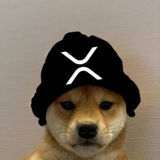 dog wif xrp