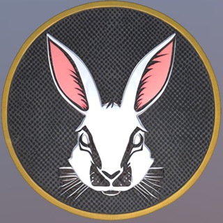 CashBunny 🐰 (BUNNY)🐰