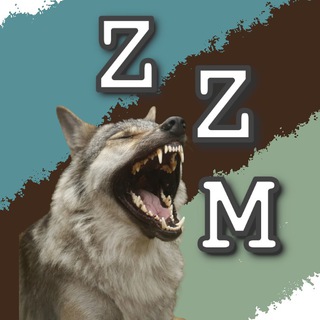 Zany Zoo Memes 🐶🐱🦊🐺🐴