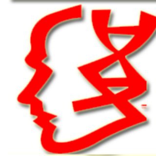 NICHOLAS TRADING STRATEGY