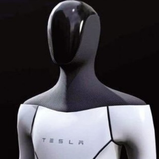 노캐쓸 벤처투자