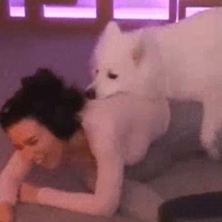 White girls fuck dogs