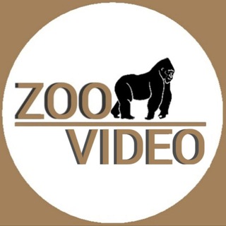 ZOO_VIDEO