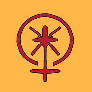 Гендерфлюидный вертосексуал