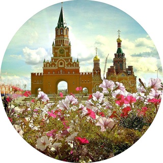 YO-CHAT Йошкар-Ола