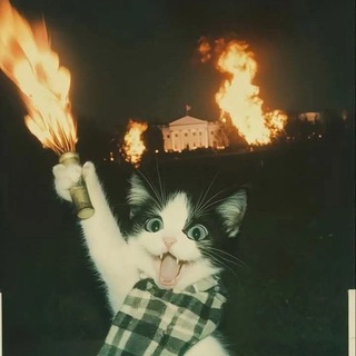 Allah Онегин @MeredianaRepBot