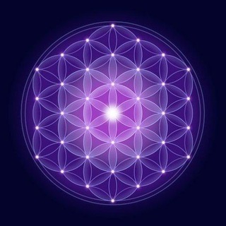 The Awakened Species ☀️