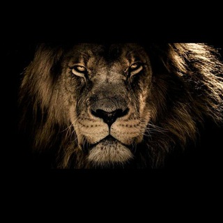 Out of the Dark®️ 🌔 🇺🇸 🌕