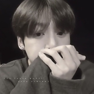 что такое вирт?