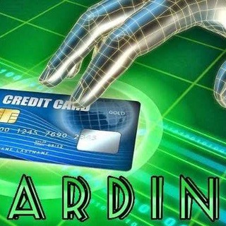 Gay group video call