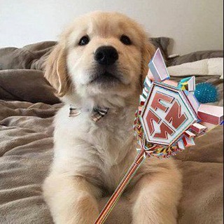 Фортнайт Чат | Общение | Поиск Тиммейтов | ПРОДАЖИ