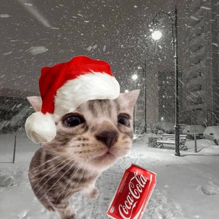 Чат Админов