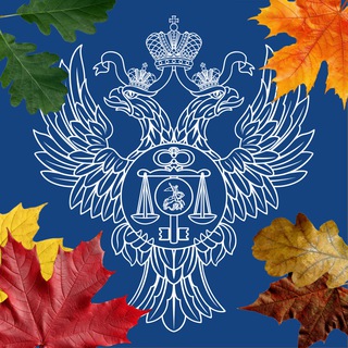 Казначейство России ✔