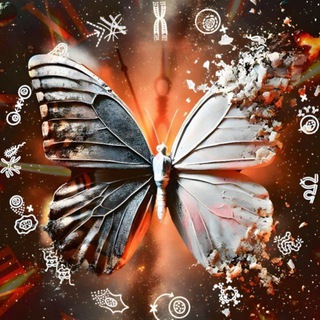 Александр Панчин ✔