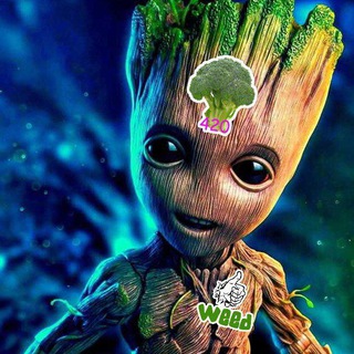 Выращивание Марихуаны - Чат Гроверов 420