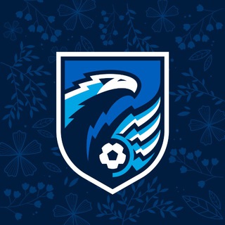 ФК «Сибирь» ✔