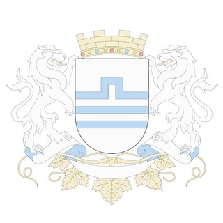 Подгорица – общение, вопросы, встречи