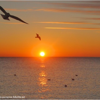 Пророчества Андрея Гиперборея Православие