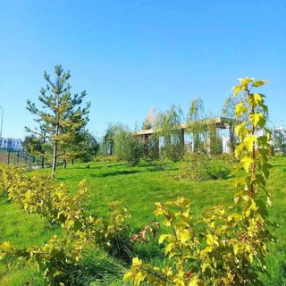 Родниковая Долина в телеграм