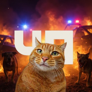 ЧП АРМАВИР | Михаил Соколов