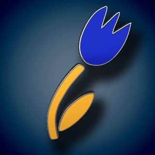 Українці в Нідерландах (чат)