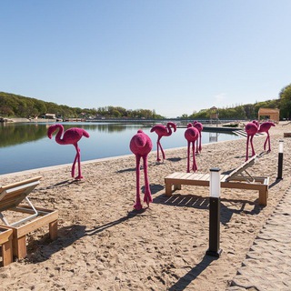 Ставрополь чат🔥🍷🤪