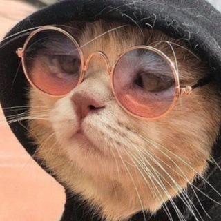 ПИАР ЧАТ / ВЗ ПОДПИСКИ / РОЛКИ