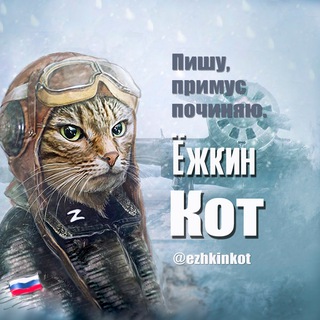 Ёжкин кот