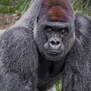 Драки школьников 18+