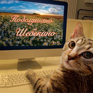 Подслушано Шебекино