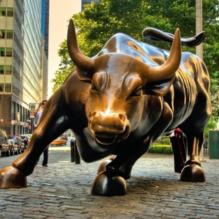 Быка за рога (инвестиции, экономика, финансы)