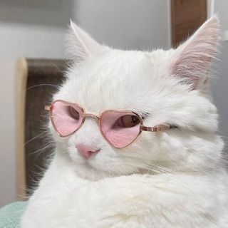 Дегидрøтация