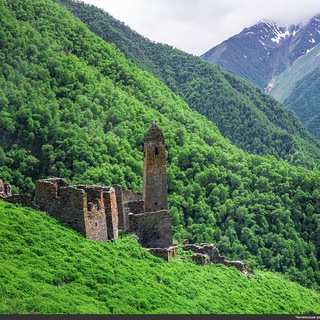 Чеченцы общение | Нохчи Чат